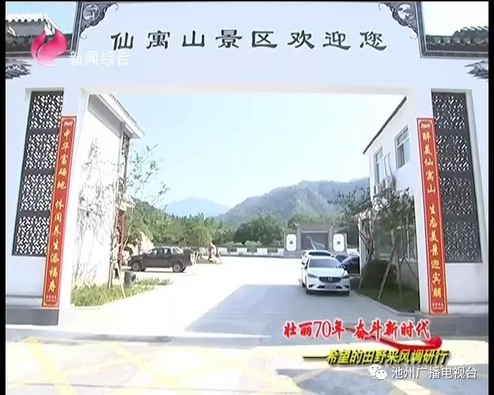 仙寓山富硒茶属于什么茶