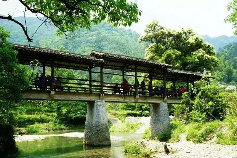 仙寓山富硒茶属于什么茶