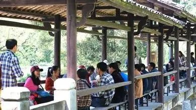 仙寓山富硒茶属于什么茶