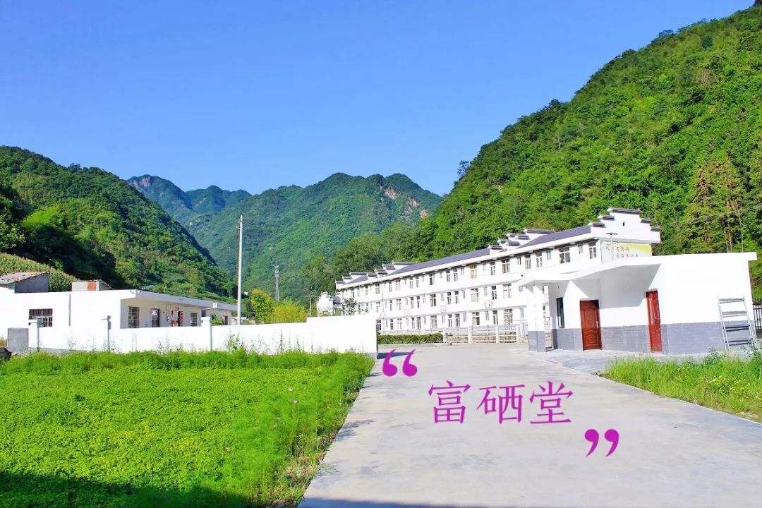 元长安富硒白茶是什么茶