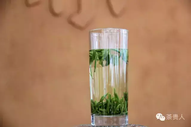 盘龙茶业紫阳富硒茶网站
