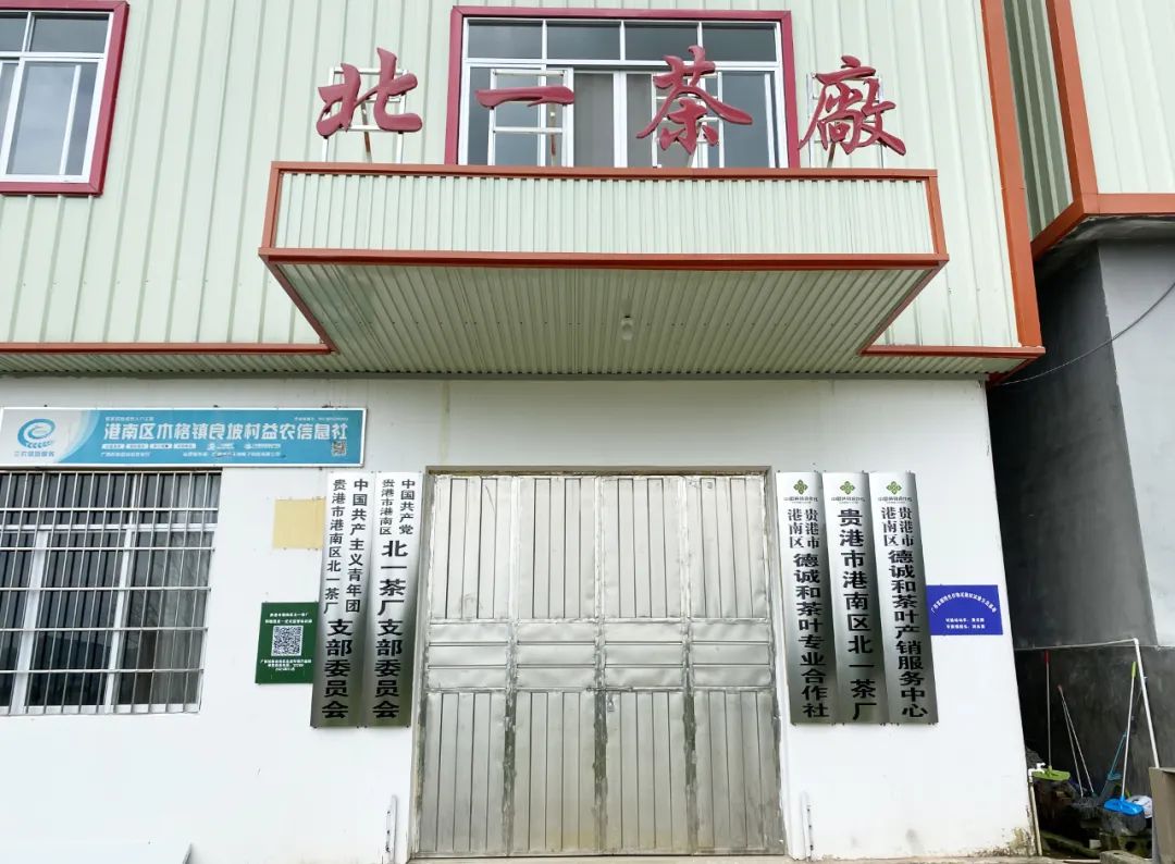 恩施富硒是什么品种的茶