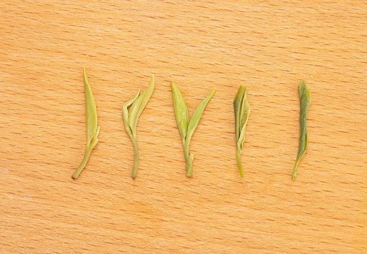 如何泡紫阳富硒茶喝好喝