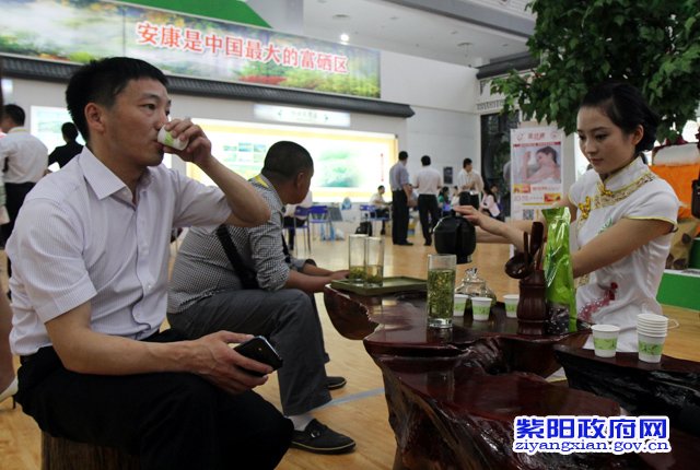 紫阳富硒茶西安市场如何