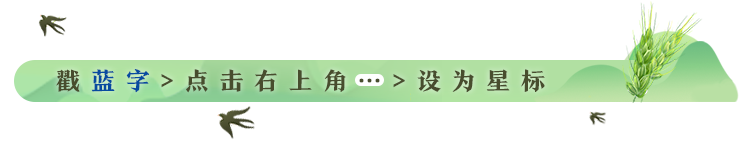 广西恩施富硒茶哪里有卖