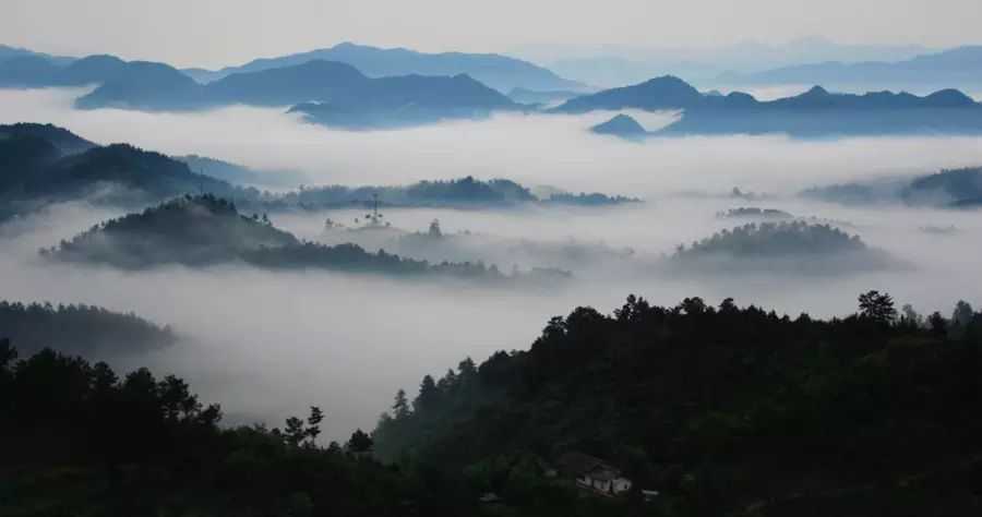 平利女娲富硒茶是绿茶吗