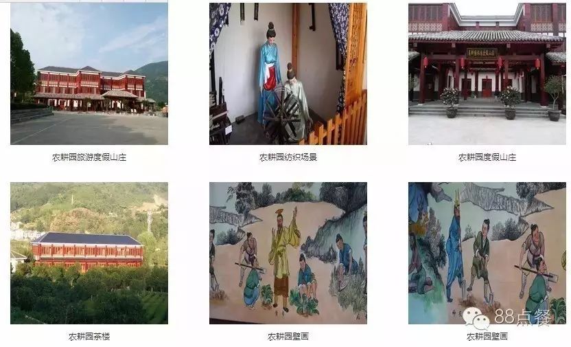 平利女娲富硒茶是绿茶吗