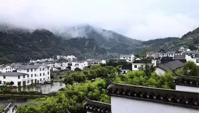 平利女娲富硒茶是绿茶吗