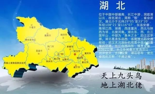 恩施富硒茶分布在哪里啊