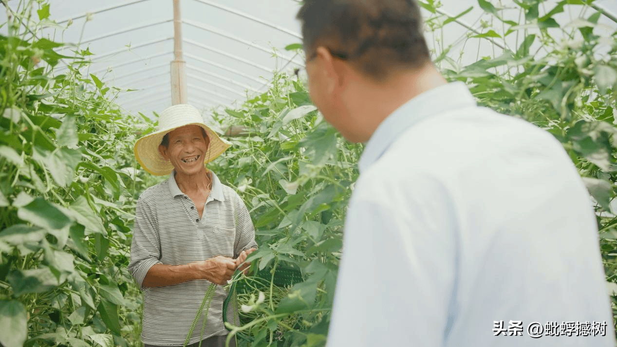 紫阳富硒茶哪家好喝点啊