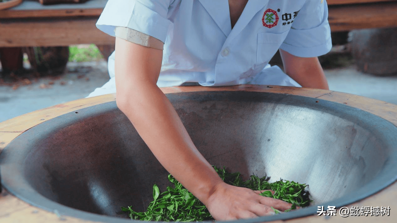 紫阳富硒茶哪家好喝点啊