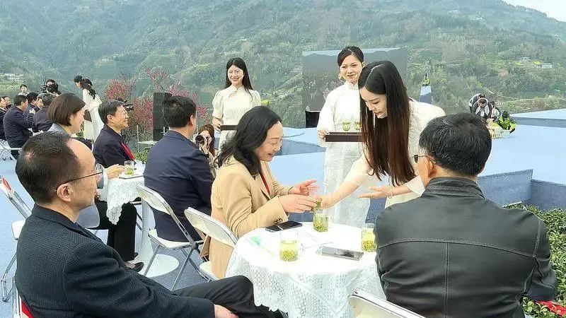 紫阳富硒茶可以长期喝吗