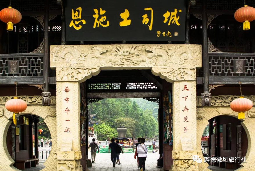 恩施富硒茶是什么茶精华