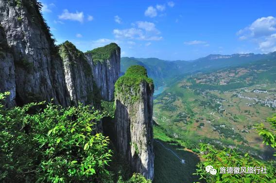 恩施富硒茶是什么茶精华