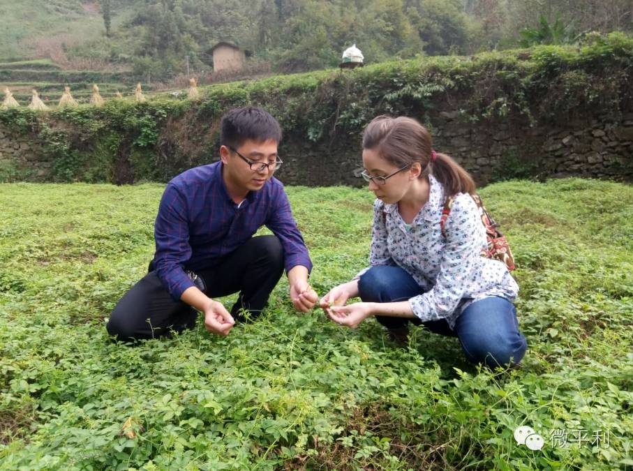 我为安康富硒茶代言奖项