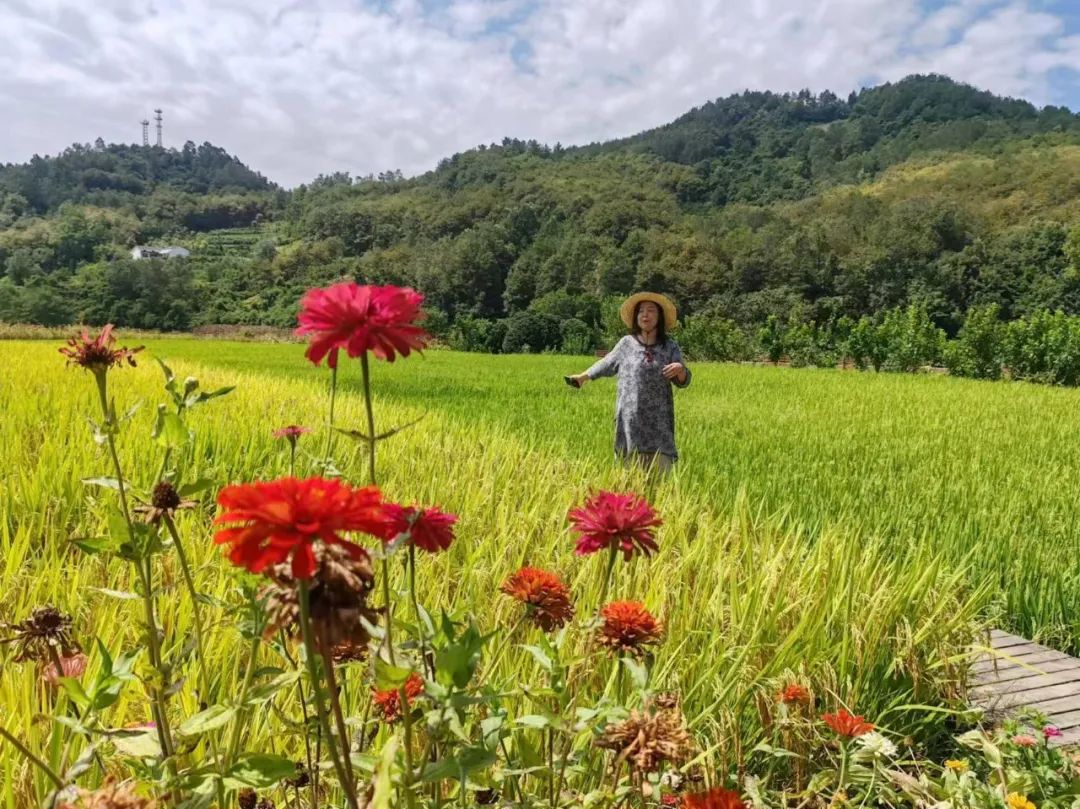 西安紫阳富硒茶在哪里卖