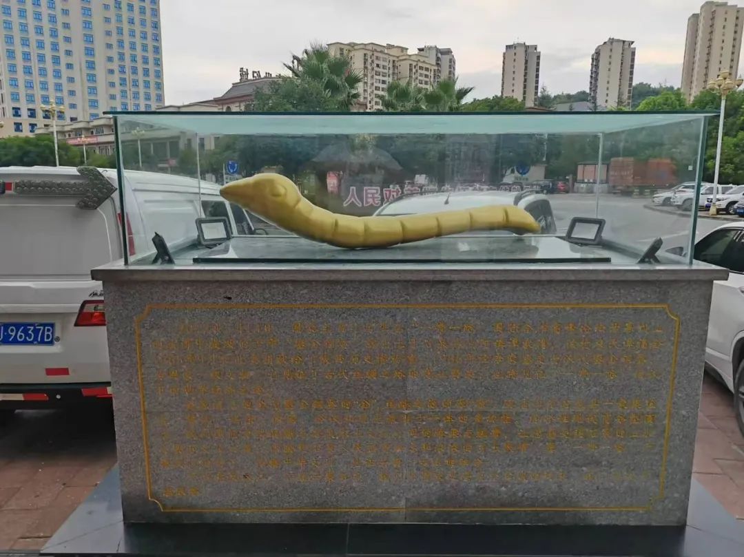 西安紫阳富硒茶在哪里卖