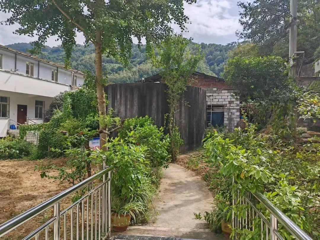 西安紫阳富硒茶在哪里卖