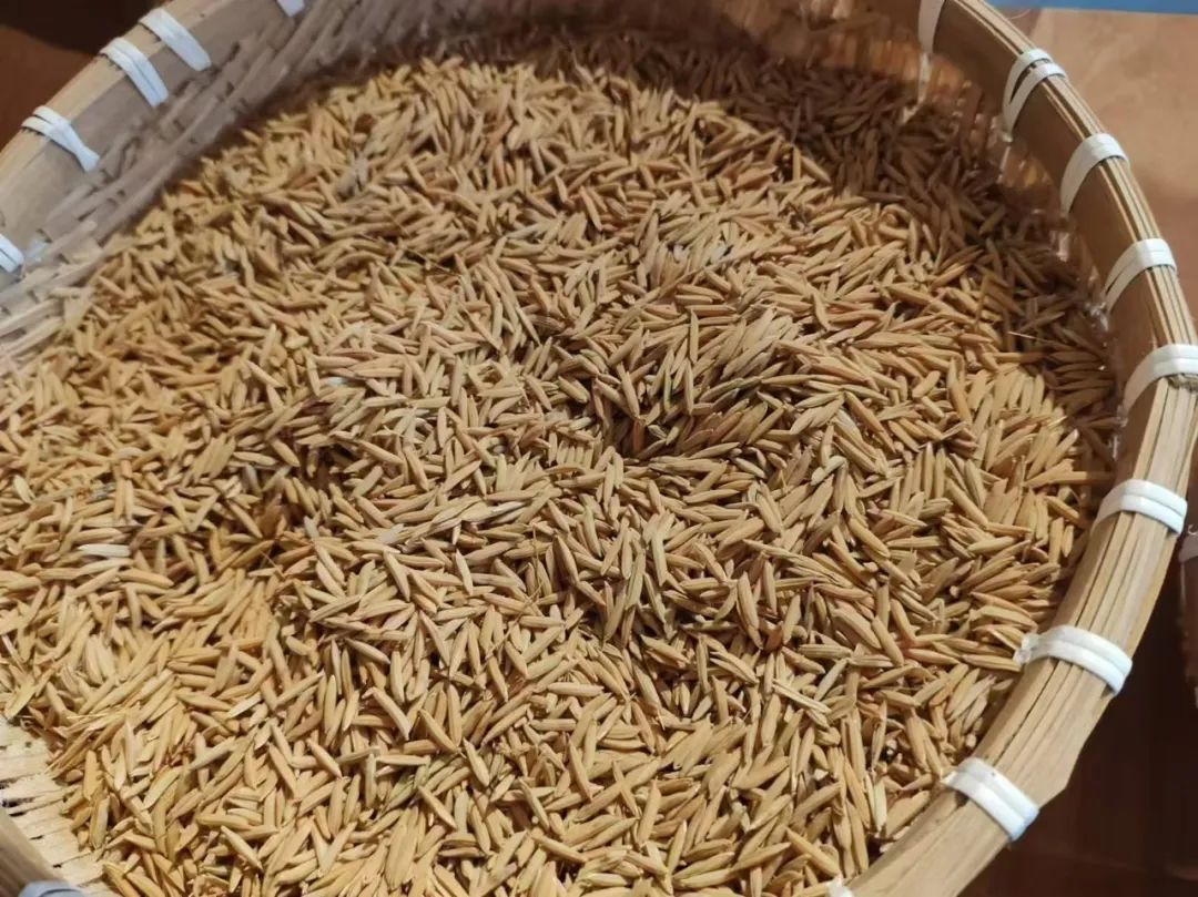 西安紫阳富硒茶在哪里卖