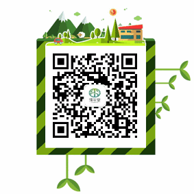富硒桑叶茶什么时候喝好