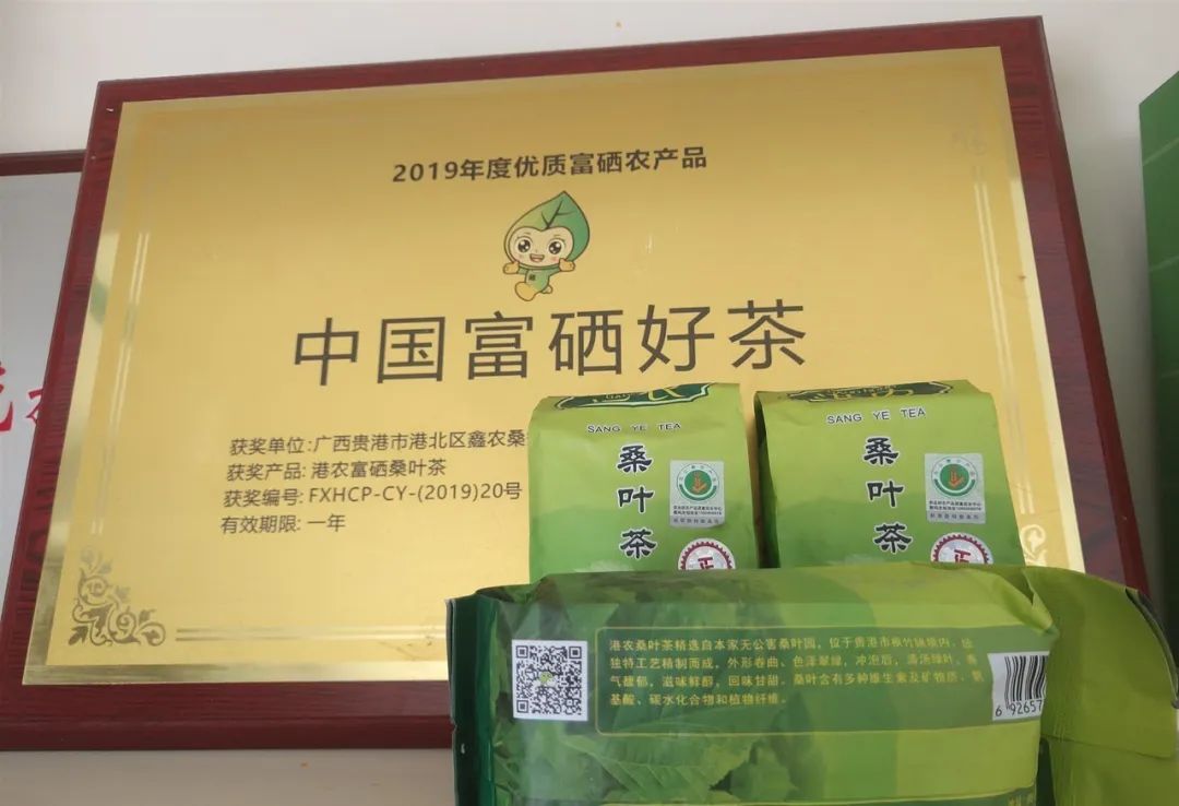 广西贵港港农桑叶茶富硒