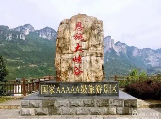 如何在恩施当地买富硒茶