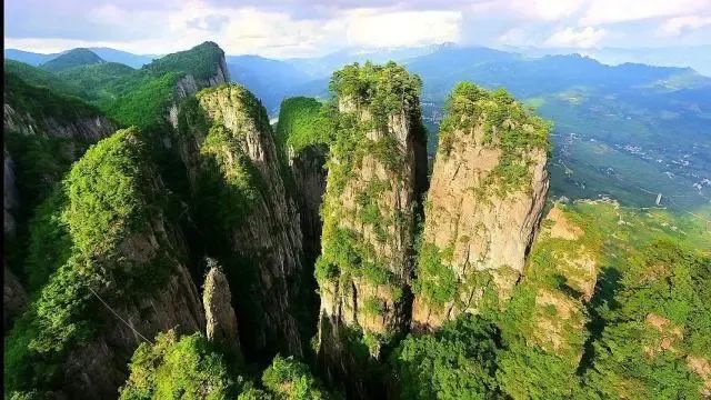 如何在恩施当地买富硒茶