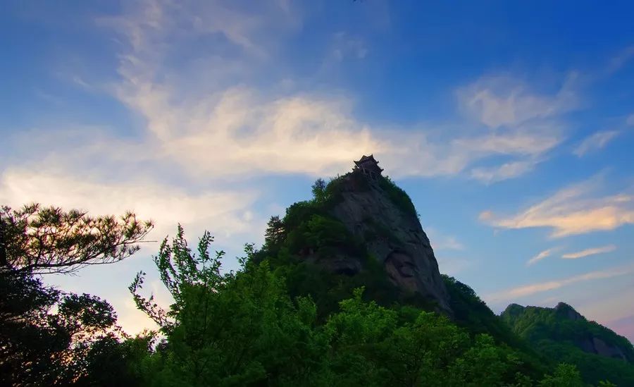 紫阳富硒茶网络中心地址