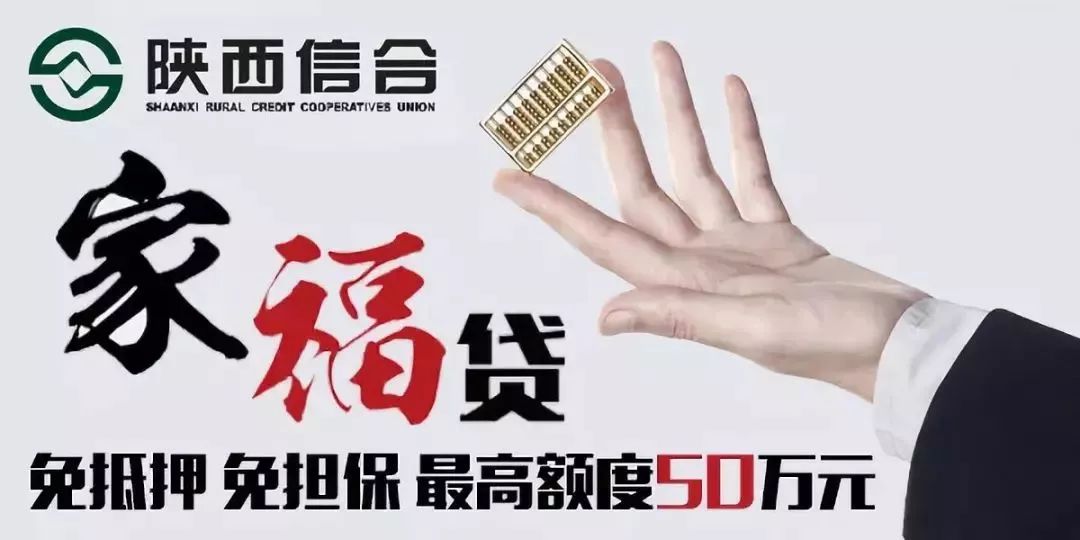 安康富硒茶品牌战略规划