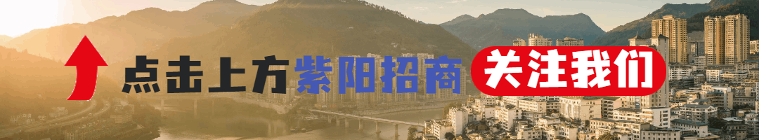 紫阳县富硒茶产区在哪里