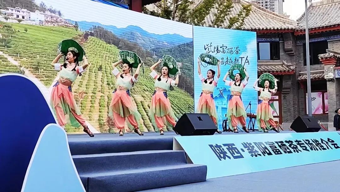 紫阳茶叶富硒茶怎么样喝