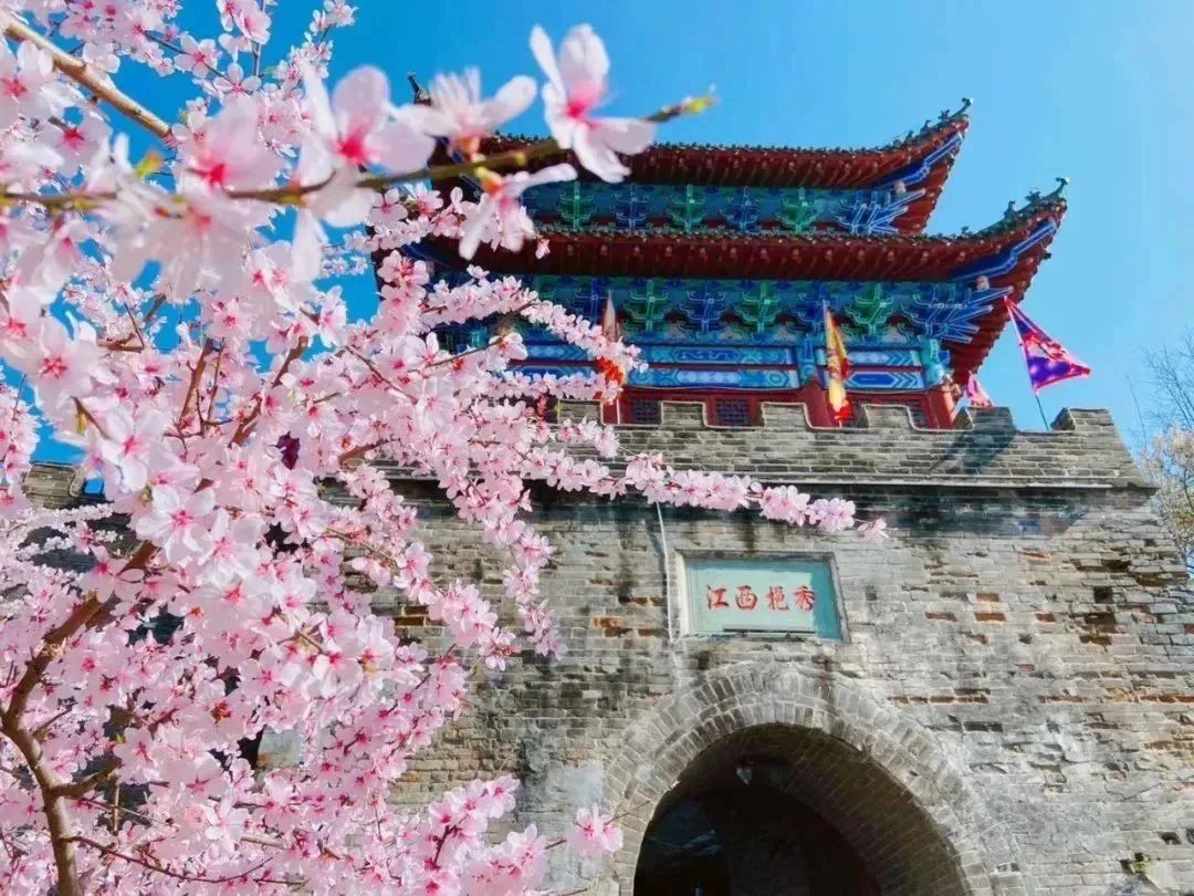 陕西安康龙腾紫阳富硒茶