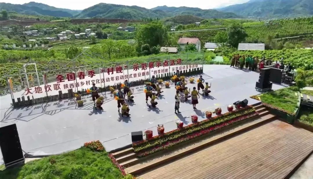 陕西安康龙腾紫阳富硒茶