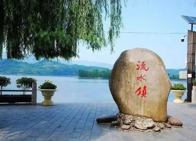 陕西安康龙腾紫阳富硒茶