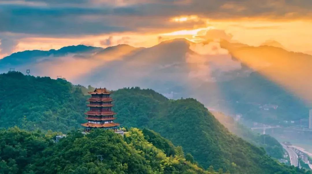 陕西安康龙腾紫阳富硒茶