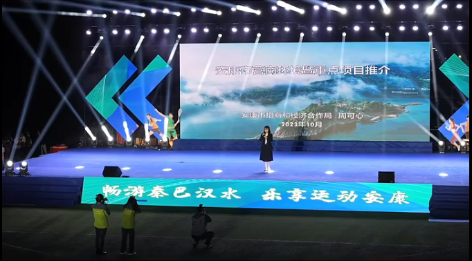 陕西安康龙腾紫阳富硒茶