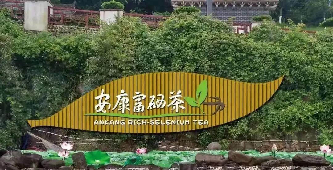 陕南特色富硒茶产业基地