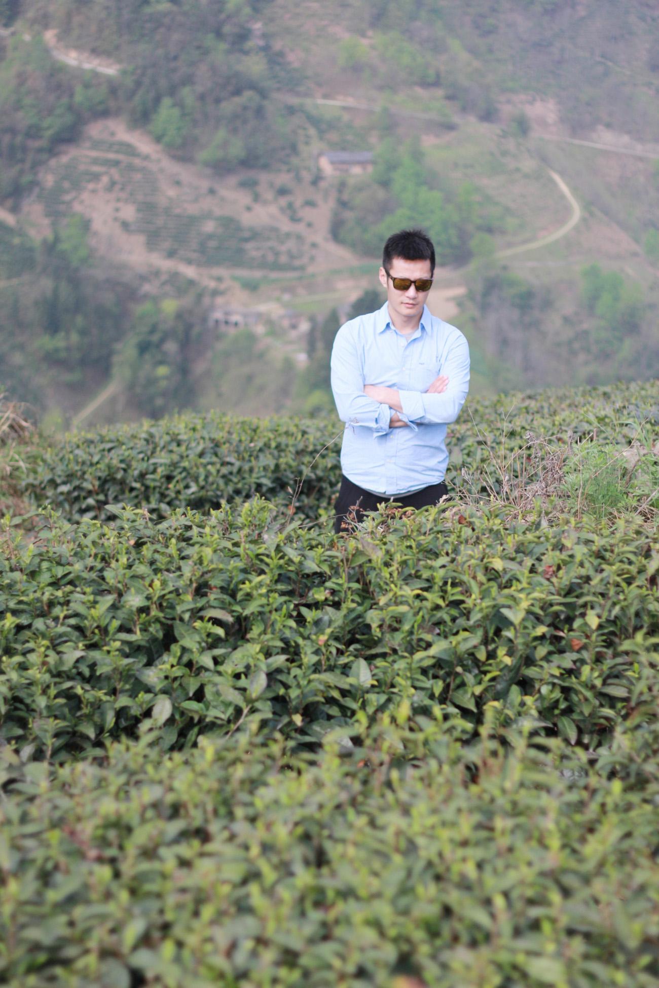 富硒紫阳茶在西安有店吗
