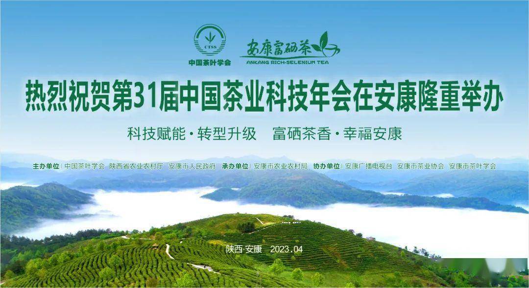 质量好安康富硒茶供应商