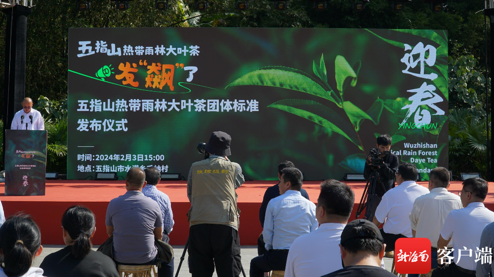 高山云雾茶和富硒哪个好