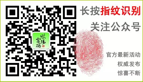 紫阳富硒茶效果如何样啊