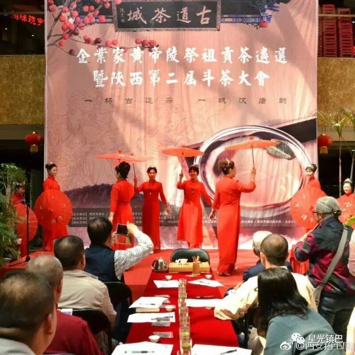 十大紫阳富硒茶产地排名