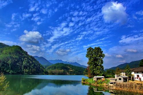 池州仙寓山富硒野茶怎样