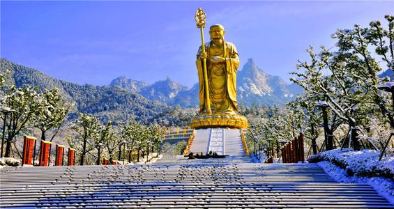池州仙寓山富硒野茶怎样