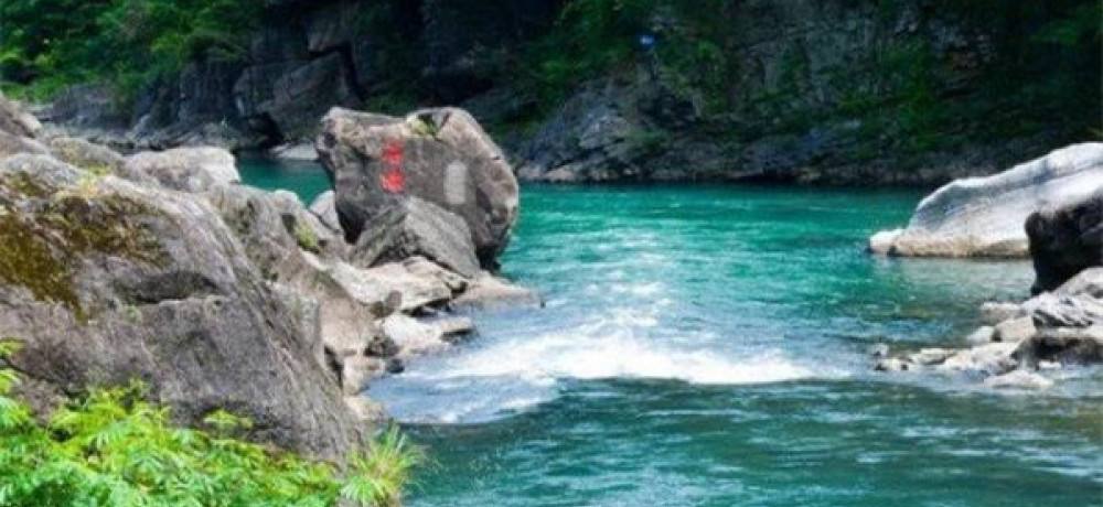 池州仙寓山富硒野茶怎样