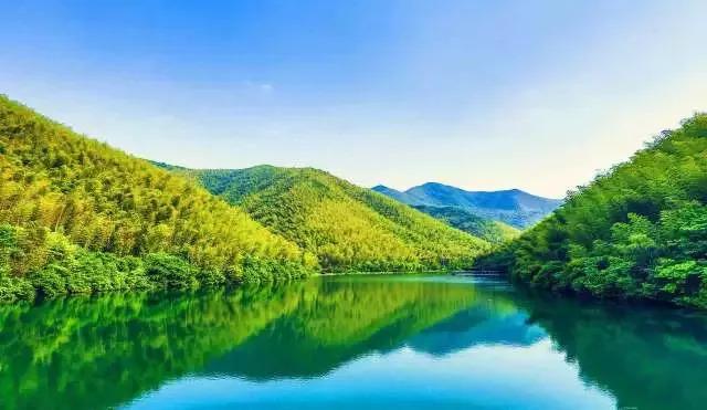 池州仙寓山富硒野茶怎样