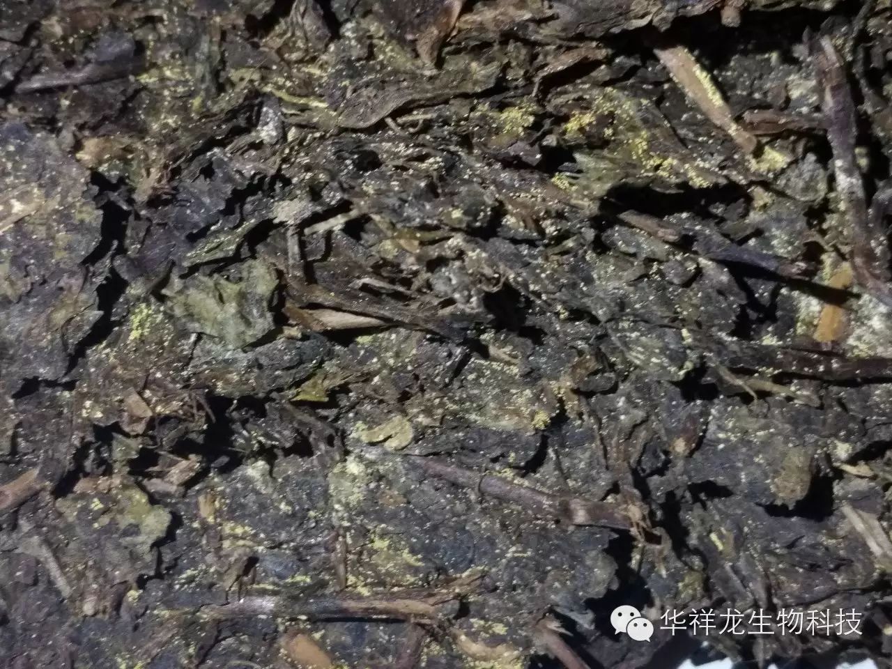 湖南黑茶是一种天然富硒