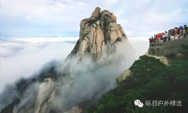 仙寓山富硒野生茶多少钱