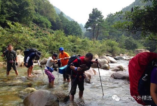 仙寓山富硒野生茶多少钱