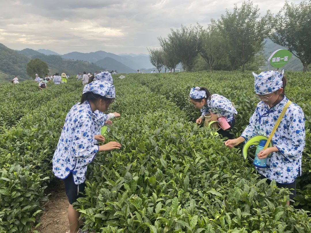 紫阳富硒茶陶博物馆美篇